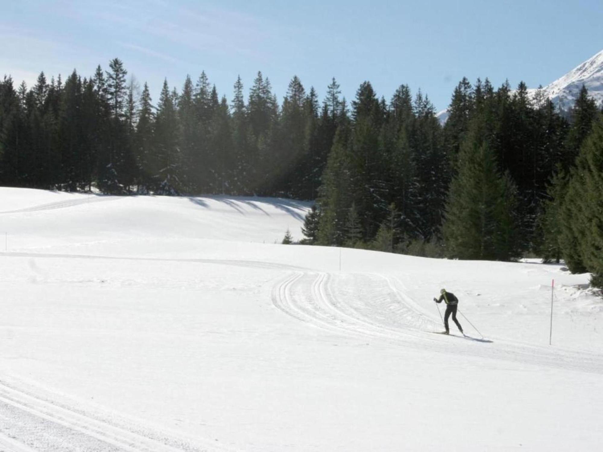 Chalet In Hohentauern Near Ski Area With Sauna Ngoại thất bức ảnh